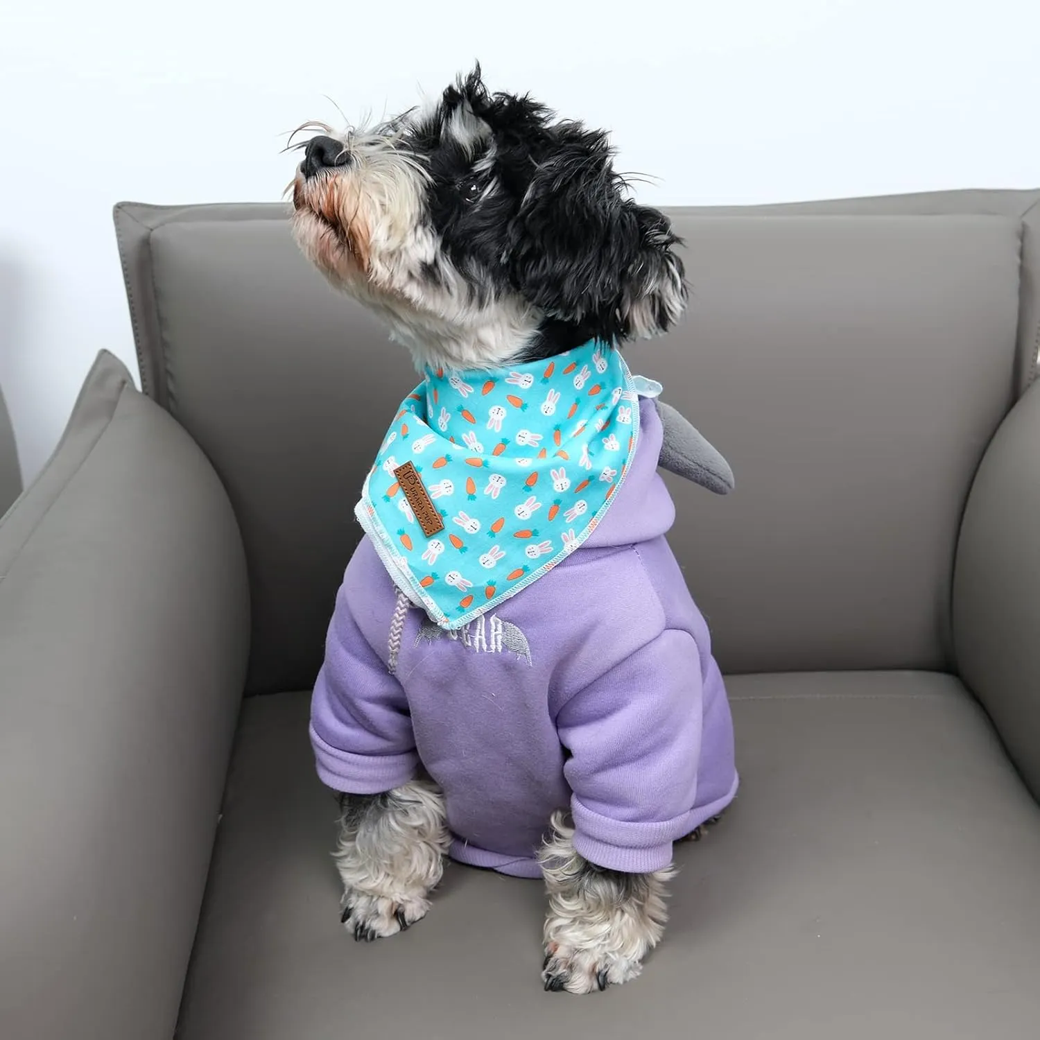 Easter Dog Bandana, Triangle Bid Scarf, Cotton, BlueRabbit, L, Easter, Rabbit, Unisex, Medium Large Dog